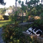 Location Quimperlé - Quiétude et repos dans le jardin